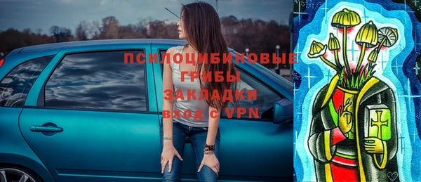 крисы Верея