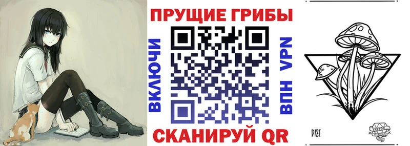 Псилоцибиновые грибы GOLDEN TEACHER  закладка  Стерлитамак 